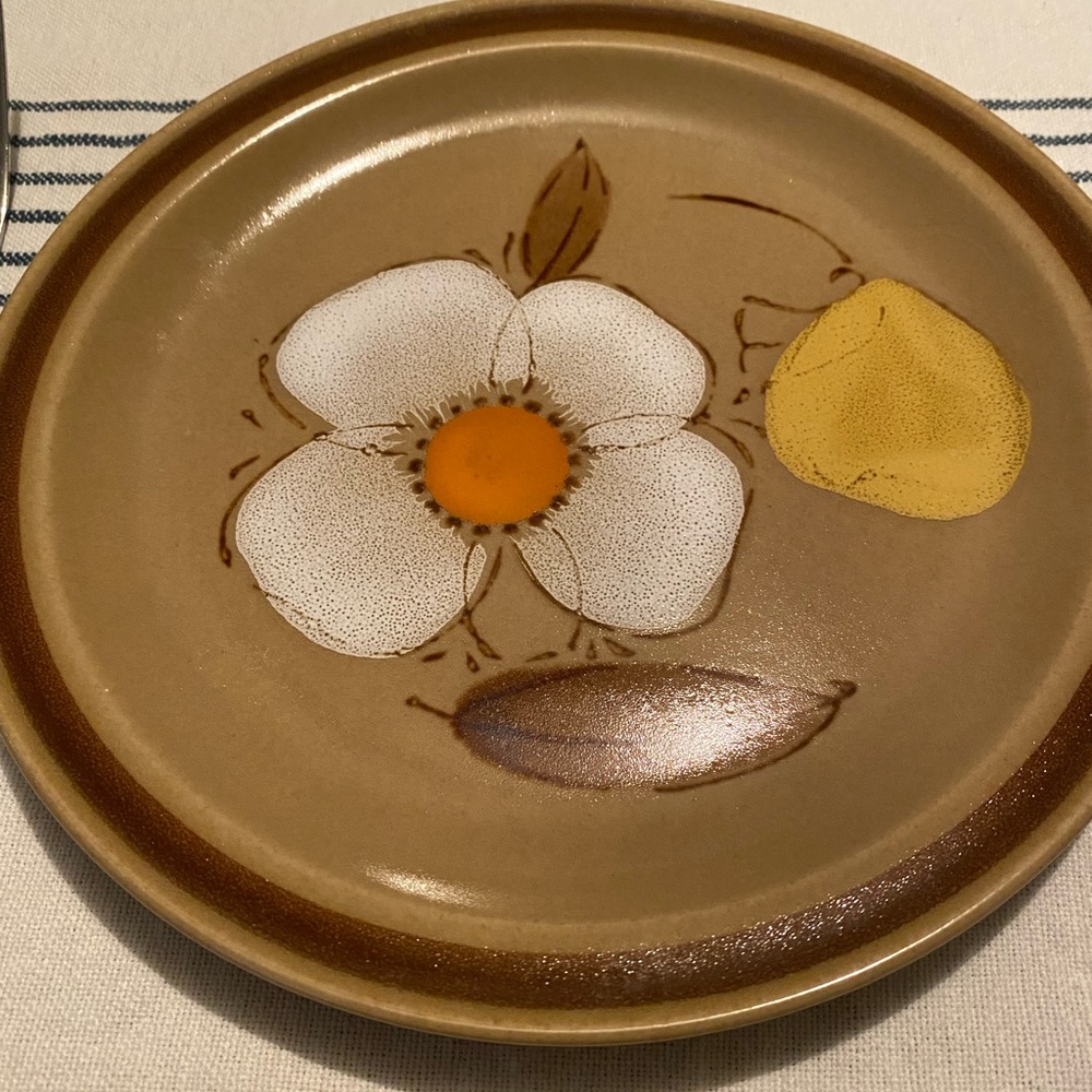 Hearthside Hand Painted Ovenproof Stoneware Japan Dogwood Four Plates